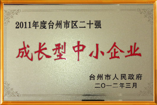 certificato d'onore-副本-副本